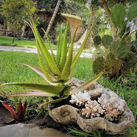 Fortamu Lady D House Watamu Exterior photo